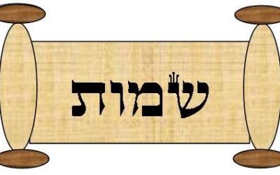Parshat Shemot 5781