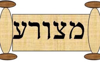 Parshat Metzorah 5779