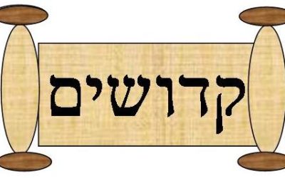 Parshat Kedoshim 5779