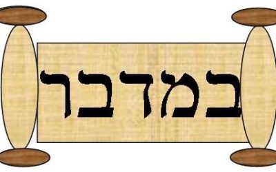 Parshat Bamidbar 5781